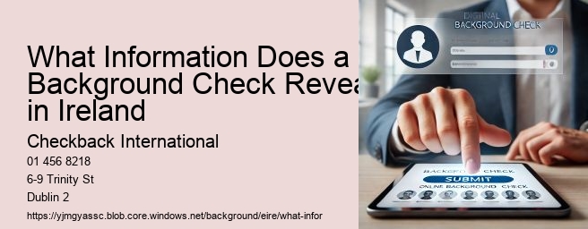 What Information Does a Background Check Reveal in Ireland