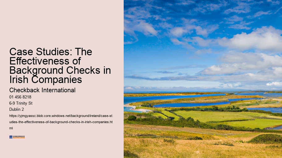 Case Studies: The Effectiveness of Background Checks in Irish Companies