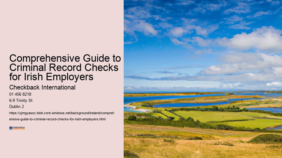 Comprehensive Guide to Criminal Record Checks for Irish Employers