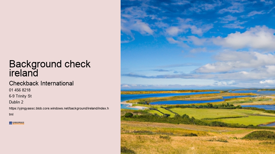 background check ireland