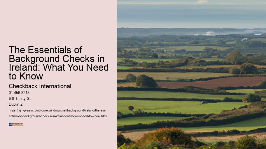 The Essentials of Background Checks in Ireland: What You Need to Know