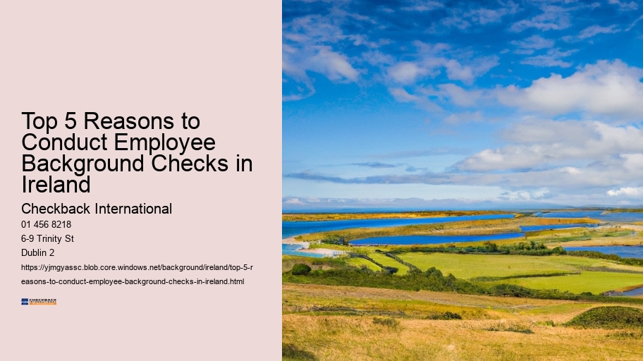 Top 5 Reasons to Conduct Employee Background Checks in Ireland