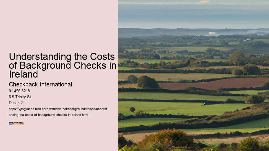 Understanding the Costs of Background Checks in Ireland