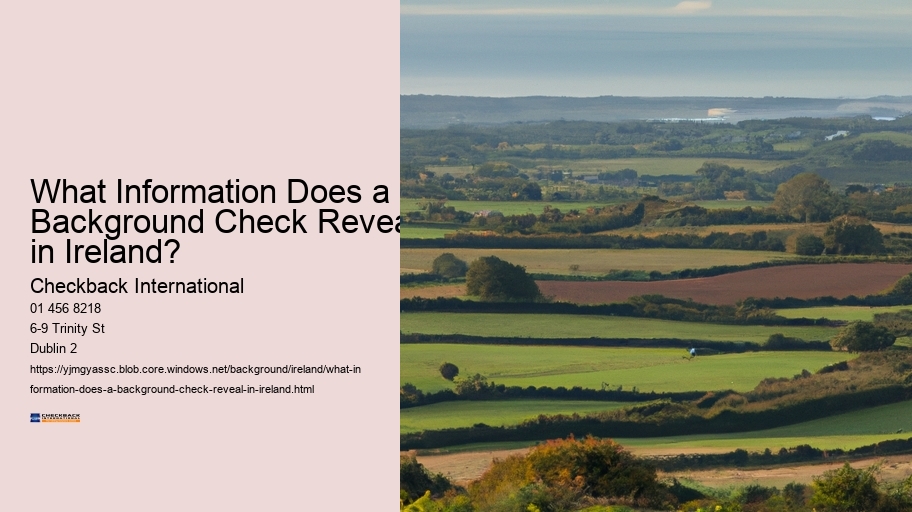 What Information Does a Background Check Reveal in Ireland?