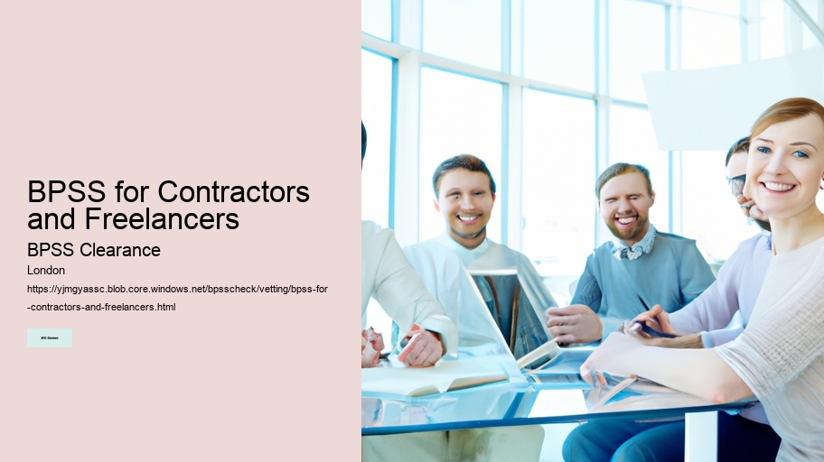 BPSS for Contractors and Freelancers