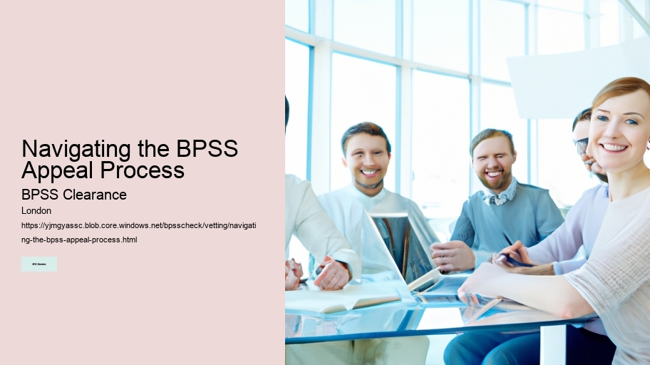 Navigating the BPSS Appeal Process