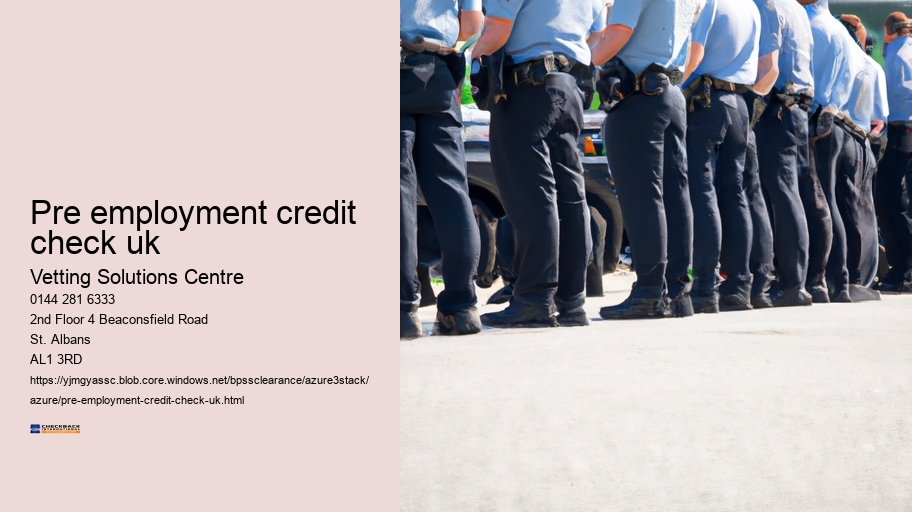 pre employment credit check uk