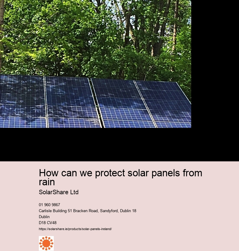 liz truss solar panels