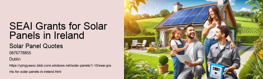 How Many Solar Panels Do You Need for Your Home?