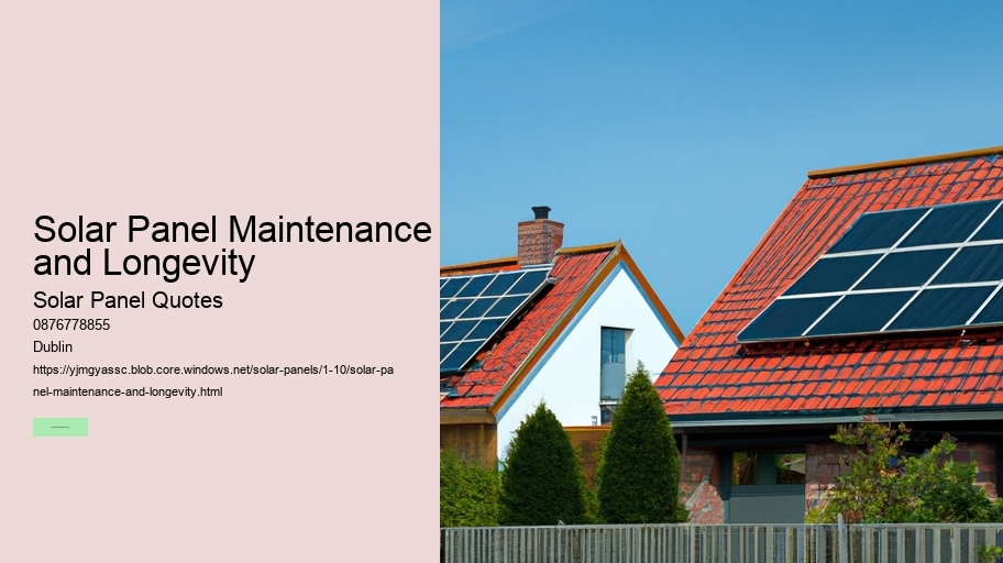 Solar Panel Maintenance and Longevity