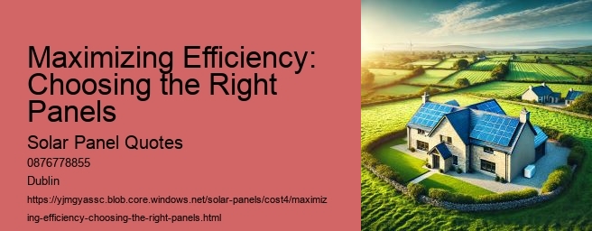 Maximizing Efficiency: Choosing the Right Panels